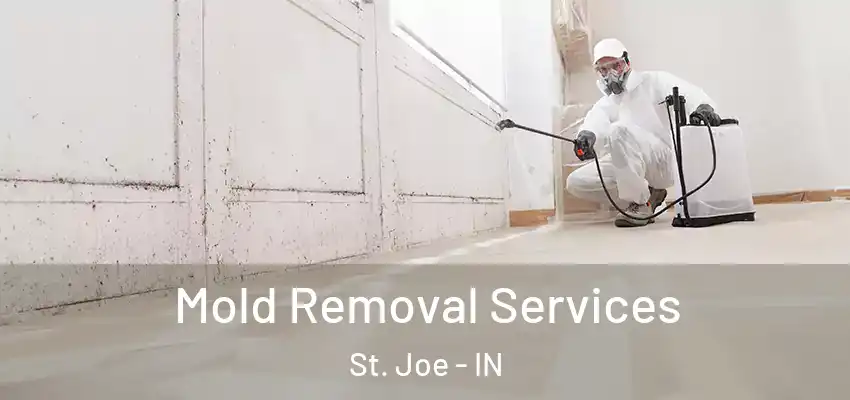  Mold Removal Services St. Joe - IN