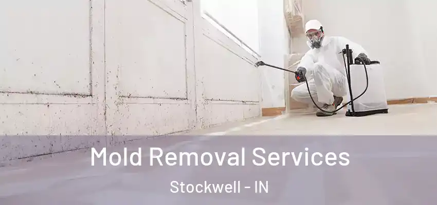 Mold Removal Services Stockwell - IN