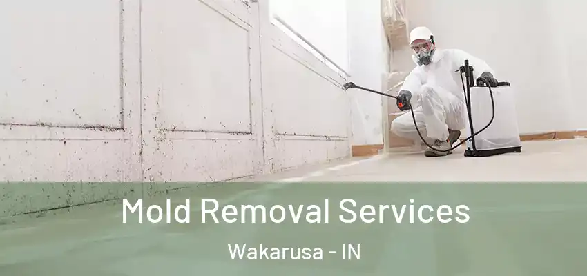  Mold Removal Services Wakarusa - IN