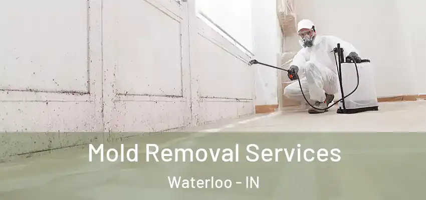  Mold Removal Services Waterloo - IN
