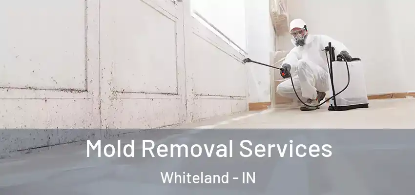  Mold Removal Services Whiteland - IN