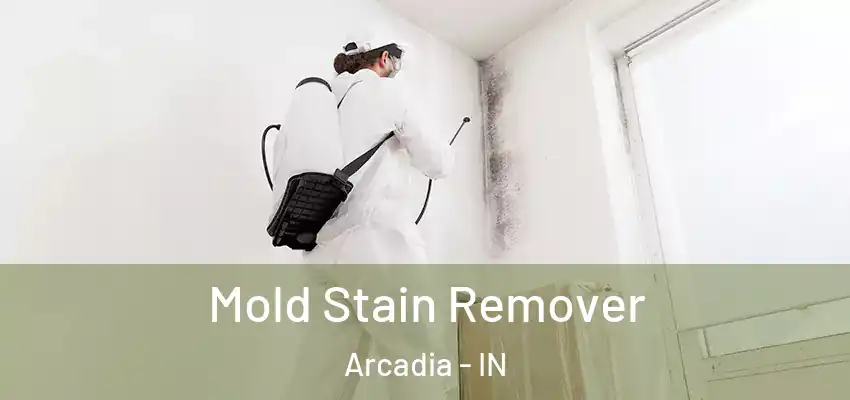 Mold Stain Remover Arcadia - IN