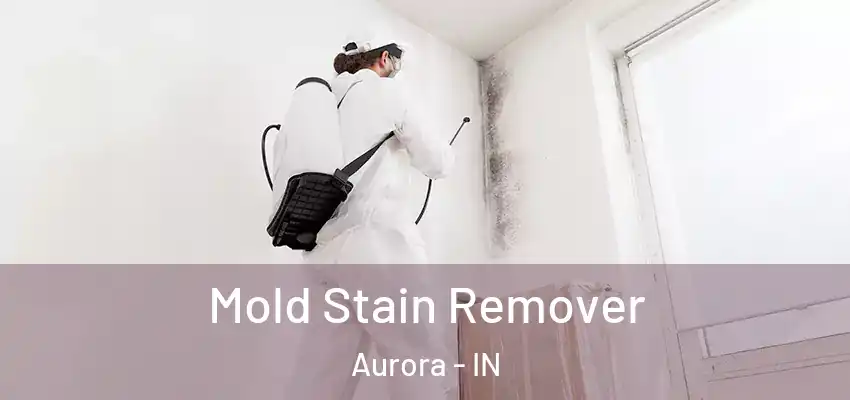 Mold Stain Remover Aurora - IN