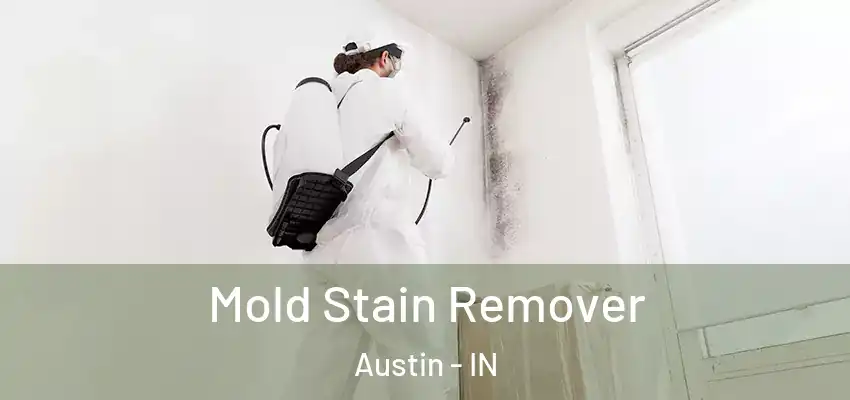  Mold Stain Remover Austin - IN