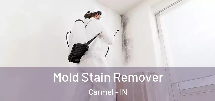  Mold Stain Remover Carmel - IN