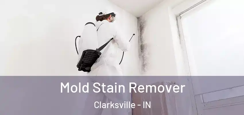 Mold Stain Remover Clarksville - IN