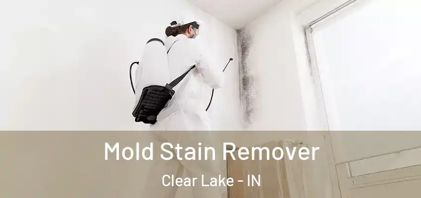  Mold Stain Remover Clear Lake - IN
