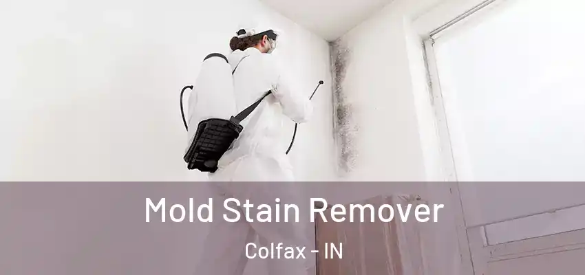  Mold Stain Remover Colfax - IN