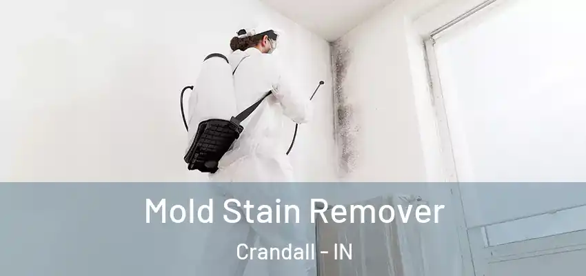  Mold Stain Remover Crandall - IN
