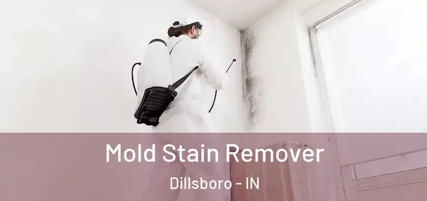 Mold Stain Remover Dillsboro - IN