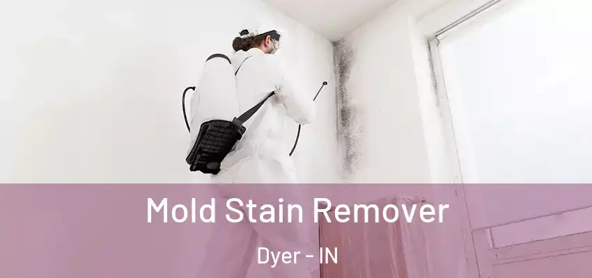 Mold Stain Remover Dyer - IN