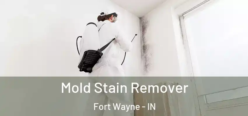  Mold Stain Remover Fort Wayne - IN