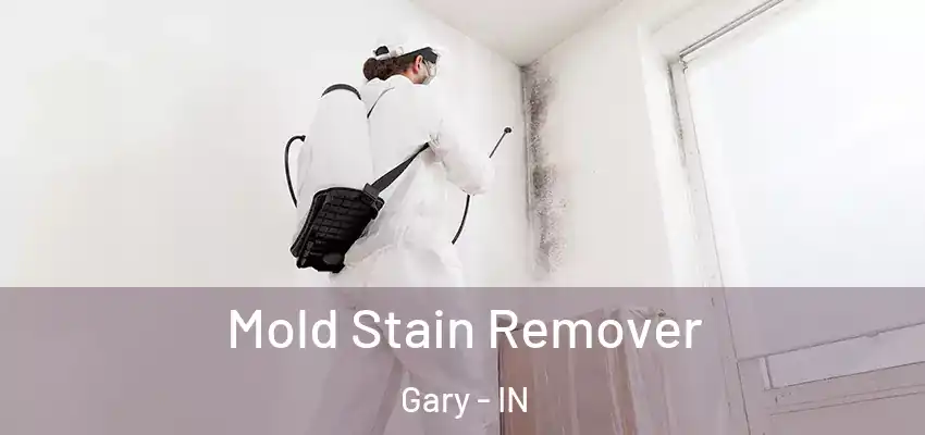  Mold Stain Remover Gary - IN
