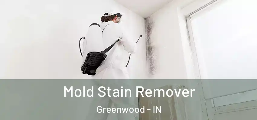 Mold Stain Remover Greenwood - IN