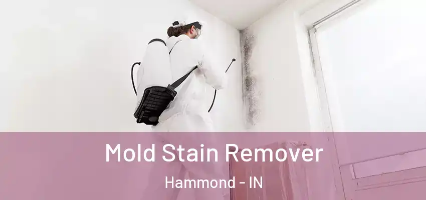  Mold Stain Remover Hammond - IN