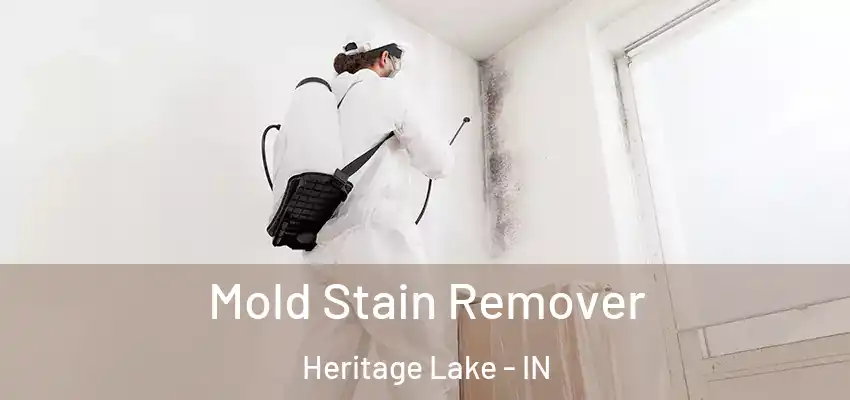 Mold Stain Remover Heritage Lake - IN