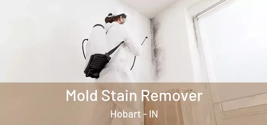  Mold Stain Remover Hobart - IN