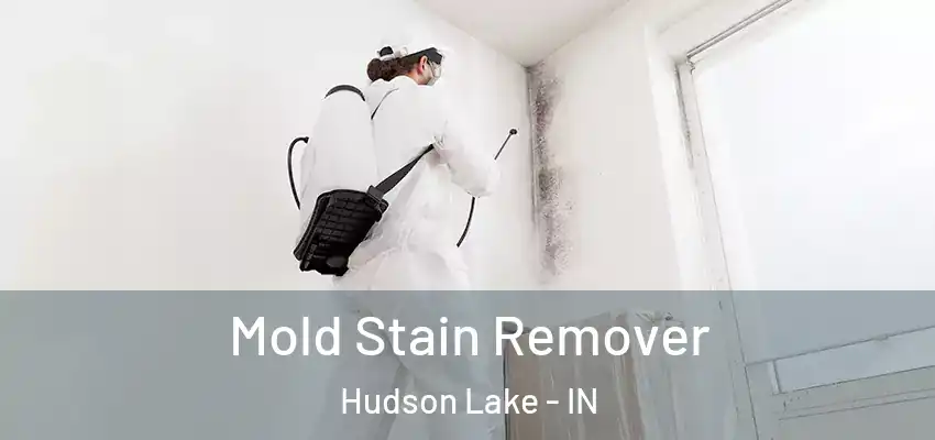  Mold Stain Remover Hudson Lake - IN