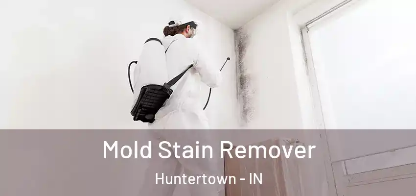  Mold Stain Remover Huntertown - IN