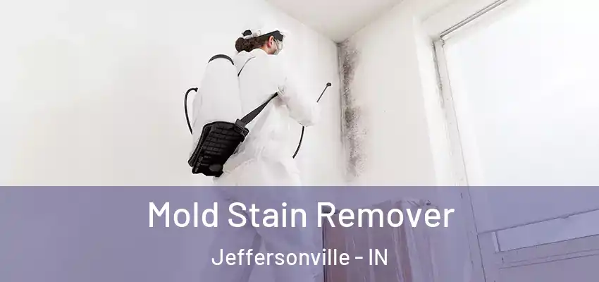  Mold Stain Remover Jeffersonville - IN