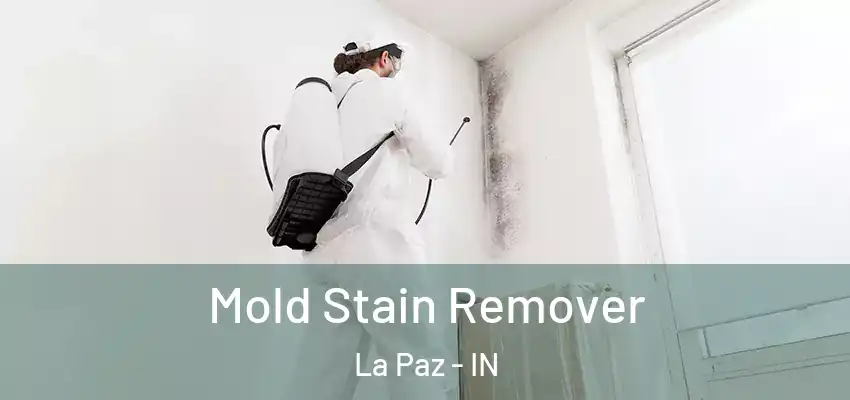  Mold Stain Remover La Paz - IN
