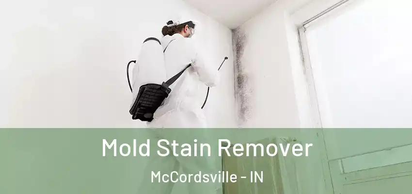  Mold Stain Remover McCordsville - IN
