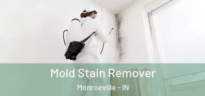  Mold Stain Remover Monroeville - IN