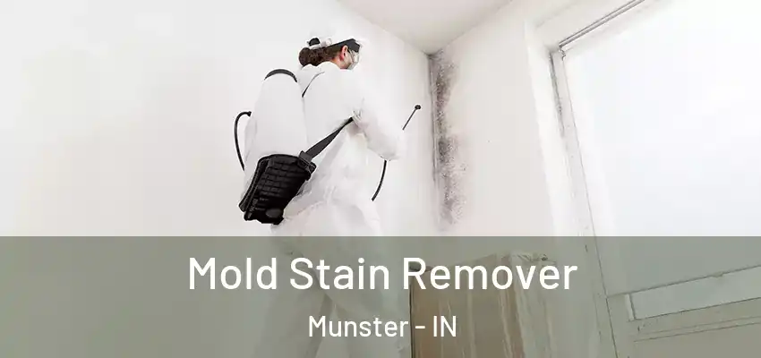  Mold Stain Remover Munster - IN