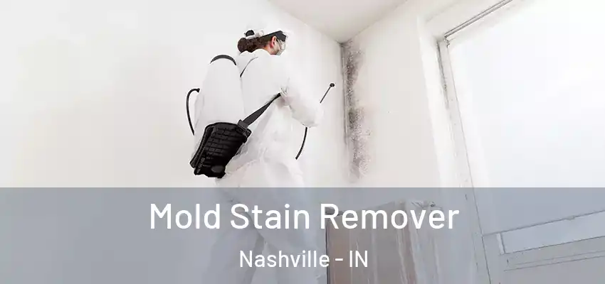 Mold Stain Remover Nashville - IN