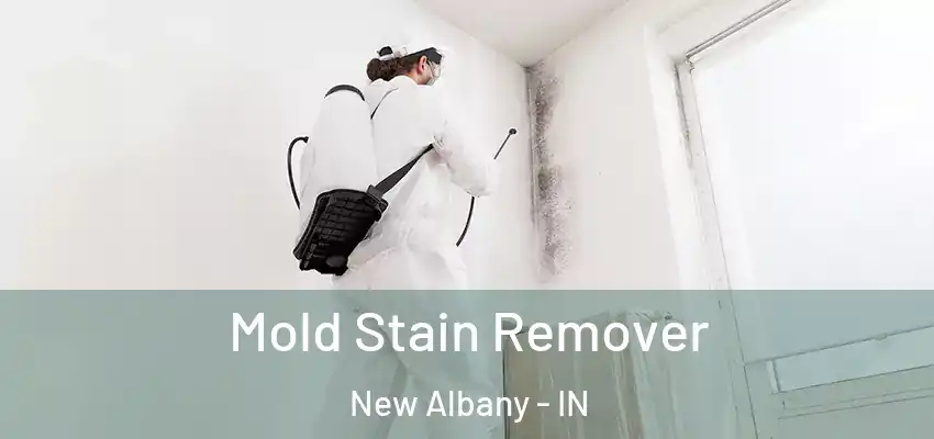  Mold Stain Remover New Albany - IN