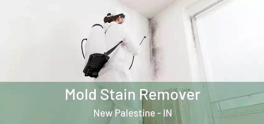  Mold Stain Remover New Palestine - IN