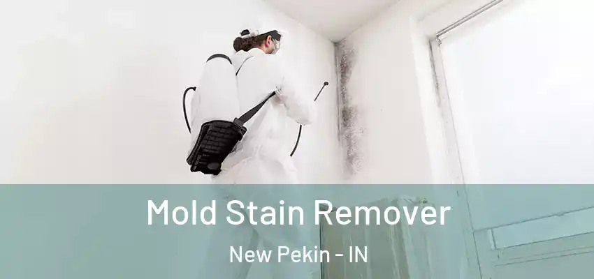 Mold Stain Remover New Pekin - IN