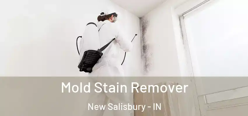  Mold Stain Remover New Salisbury - IN
