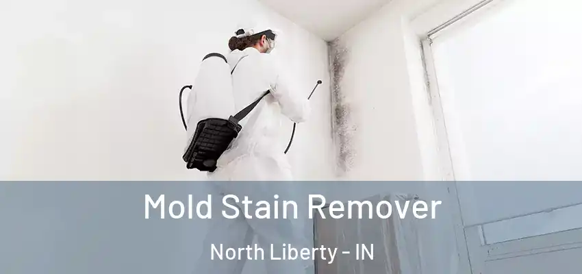  Mold Stain Remover North Liberty - IN