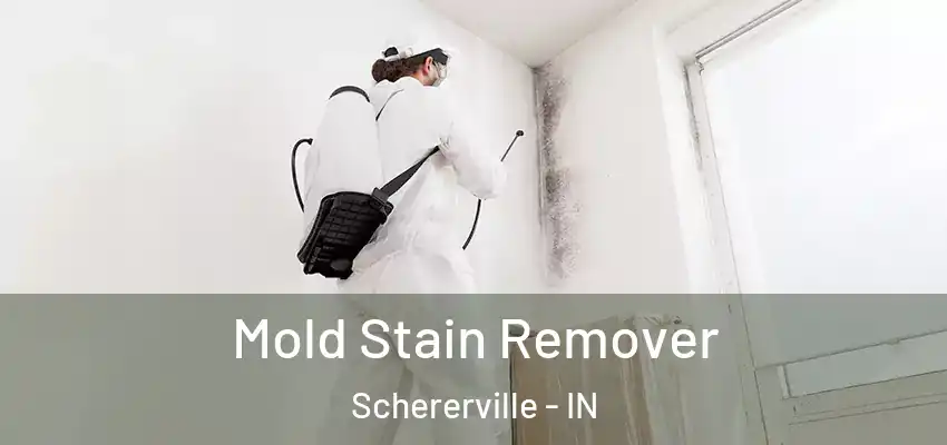 Mold Stain Remover Schererville - IN