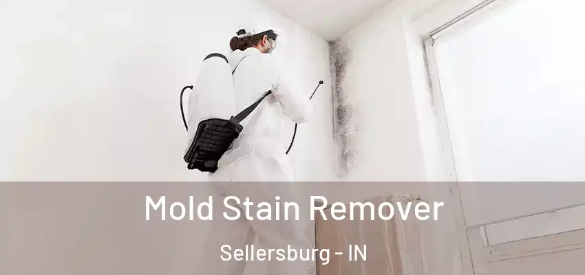  Mold Stain Remover Sellersburg - IN