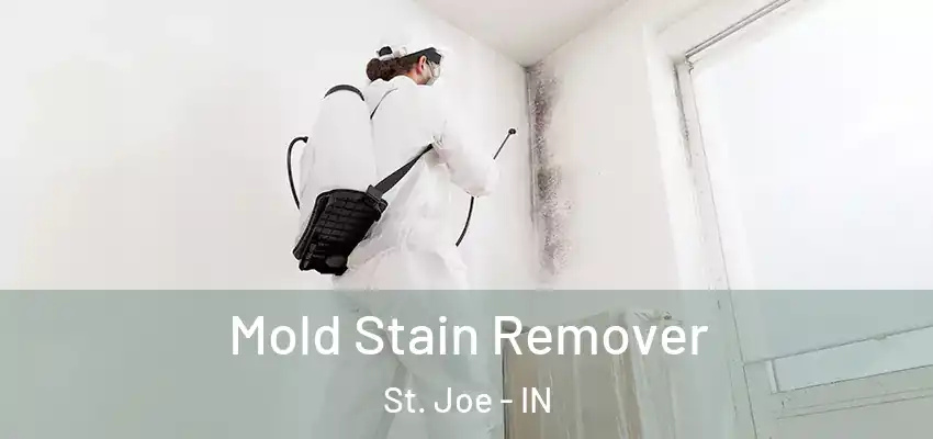  Mold Stain Remover St. Joe - IN