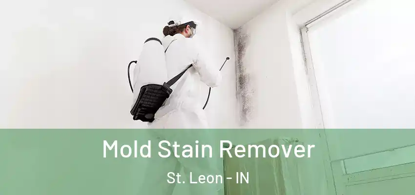  Mold Stain Remover St. Leon - IN