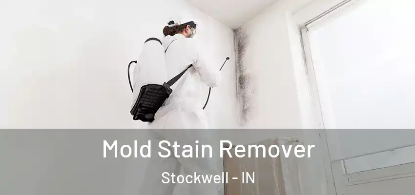 Mold Stain Remover Stockwell - IN