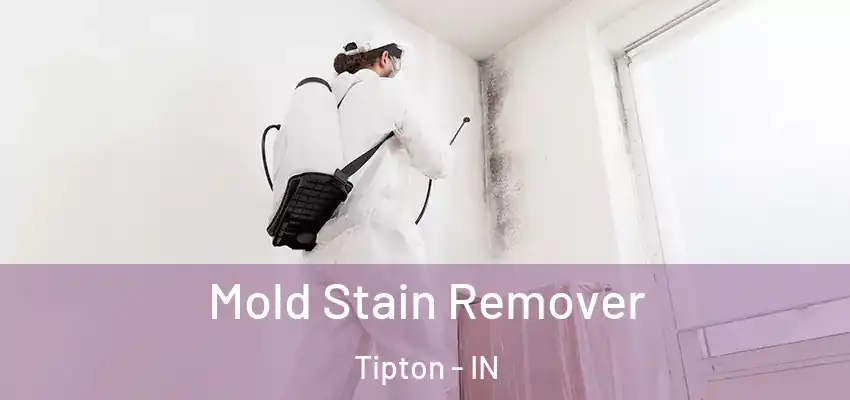  Mold Stain Remover Tipton - IN