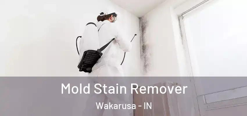  Mold Stain Remover Wakarusa - IN