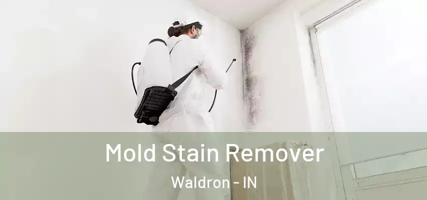  Mold Stain Remover Waldron - IN