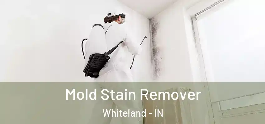  Mold Stain Remover Whiteland - IN