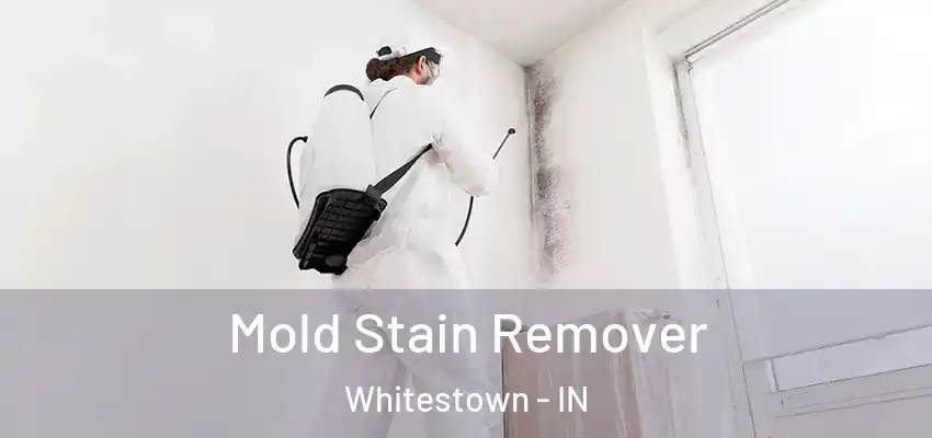 Mold Stain Remover Whitestown - IN