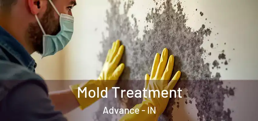  Mold Treatment Advance - IN