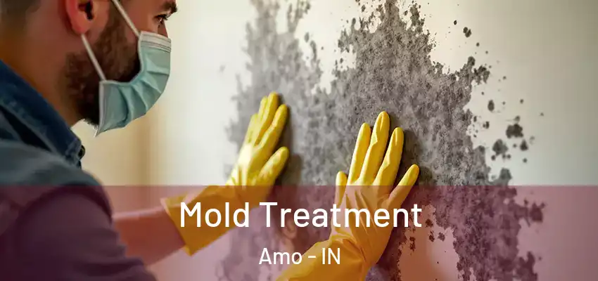  Mold Treatment Amo - IN