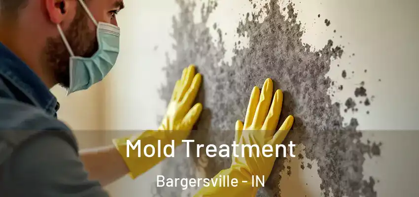 Mold Treatment Bargersville - IN