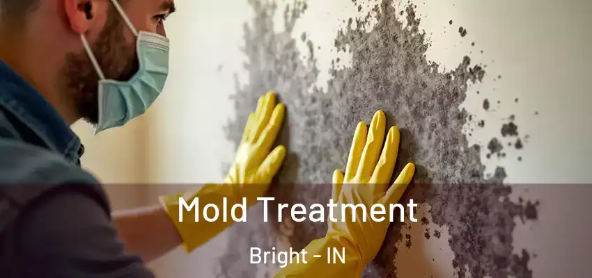  Mold Treatment Bright - IN