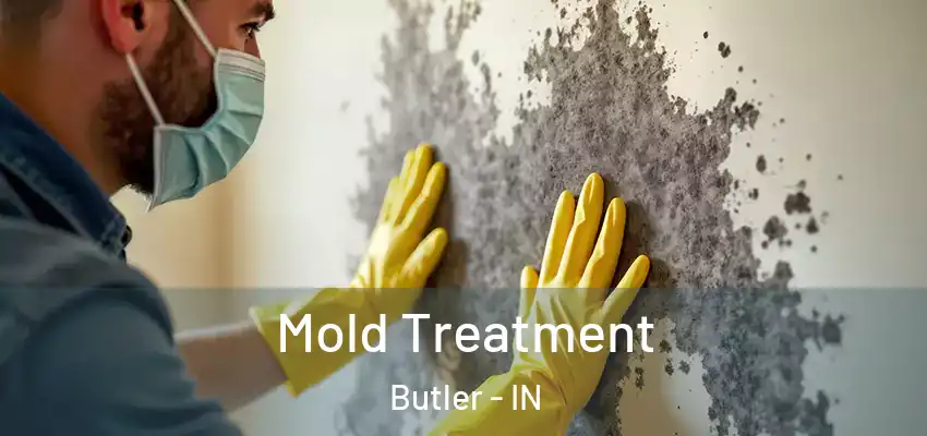 Mold Treatment Butler - IN
