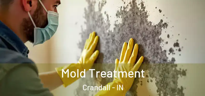 Mold Treatment Crandall - IN